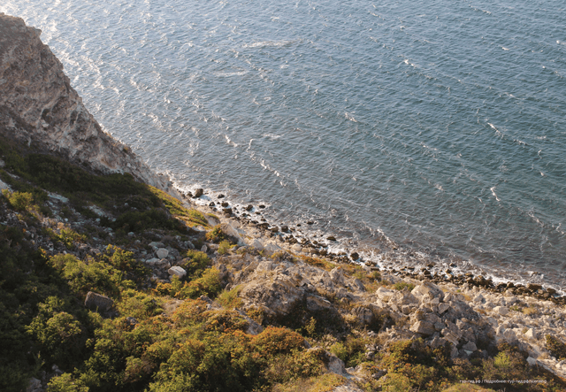 ExcursionView preview