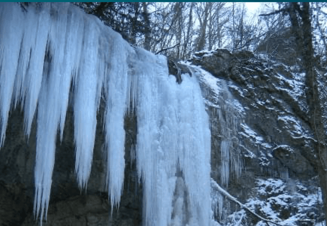 ExcursionView preview
