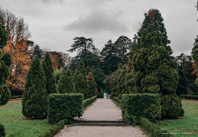 ExcursionView preview