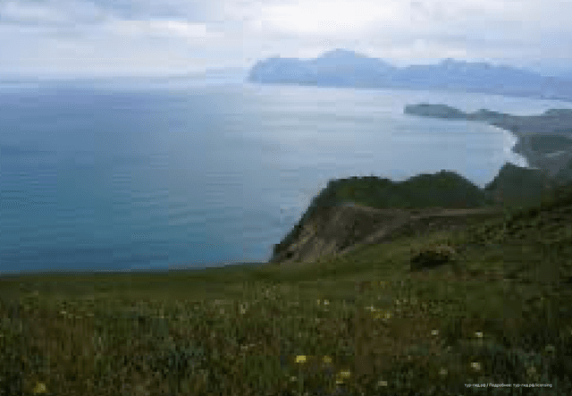 ExcursionView preview