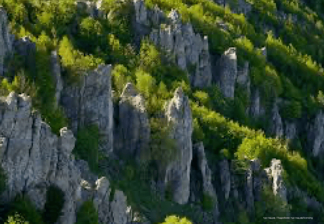 ExcursionView preview