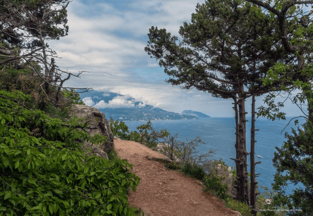 ExcursionView preview