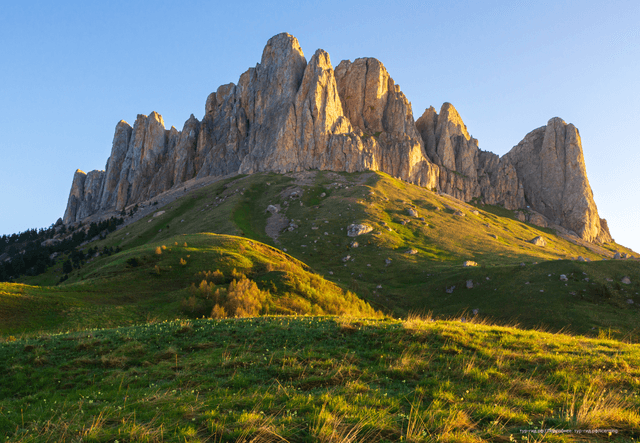 ExcursionView preview